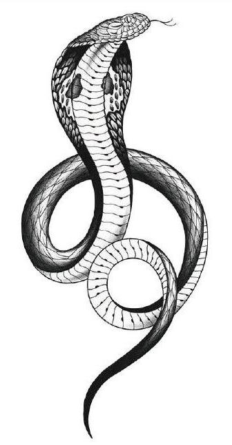 Snake Temporary Tattoo- INKARTISAN